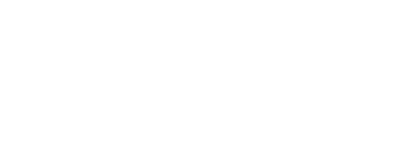 WP Brasil Academy